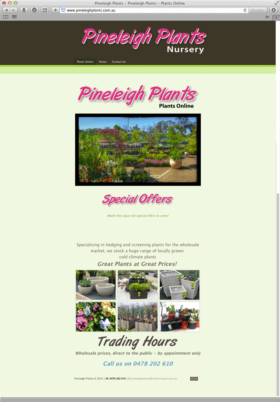 pineleigh plants website link