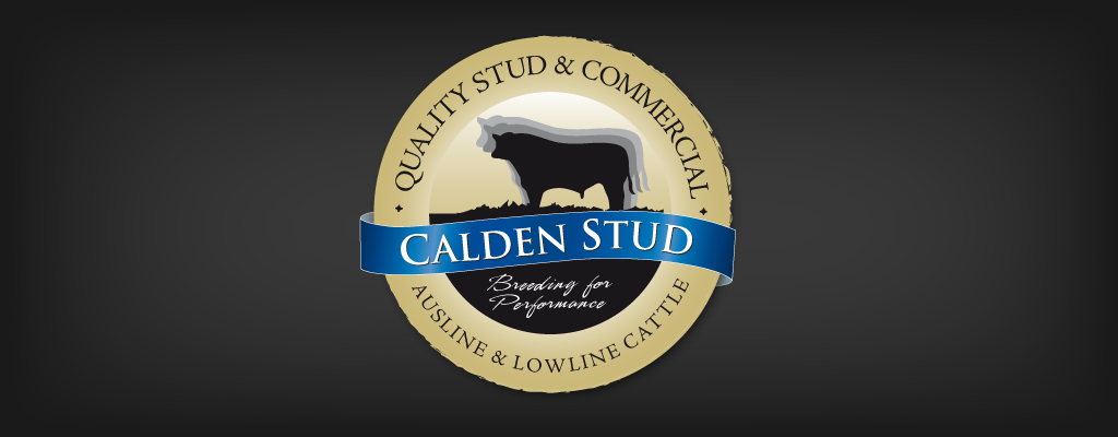 Calden Lowlines LogoLogo